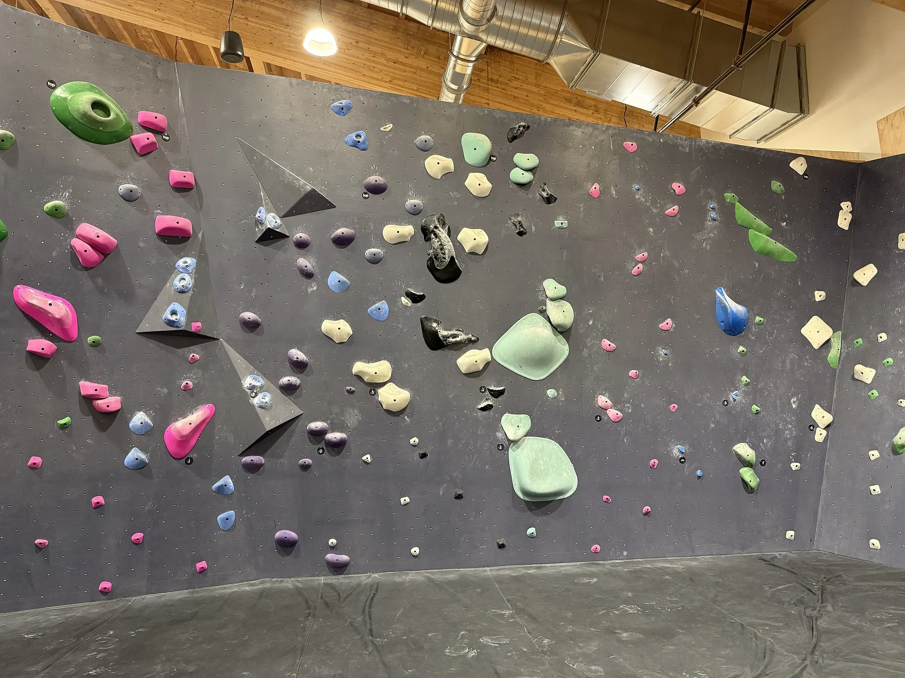 Whole gym at beargrass
